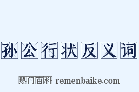 孙公行状反义词是什么意思的图片